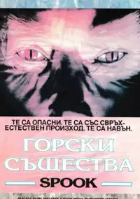 Plakat filmu Spook