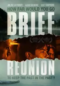 Plakat filmu Brief Reunion