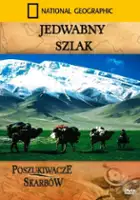 plakat filmu Jedwabny szlak