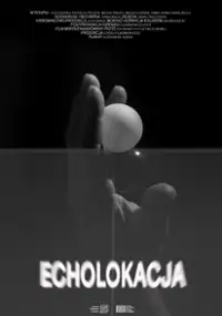 Plakat filmu Echolokacja