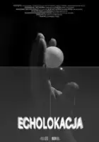 plakat filmu Echolokacja