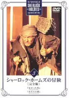 plakat - Przygody Sherlocka Holmesa (1984)