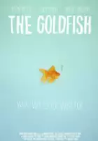 Gregory Rae / The Goldfish