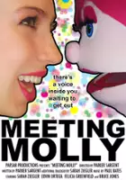 plakat filmu Meeting Molly