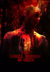 Plakat filmu The Small Woman in Grey