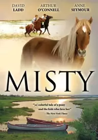 Plakat filmu Misty