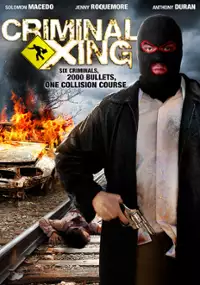 Plakat filmu Criminal Xing
