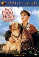 plakat filmu Daleko od domu: Przygody żółtego psa