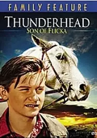 Plakat filmu Grom - syn Flicki