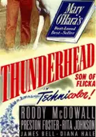 plakat filmu Grom - syn Flicki