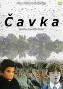 Plakat filmu Čavka
