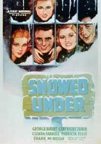 Plakat filmu Snowed Under