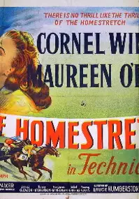 Plakat filmu The Homestretch