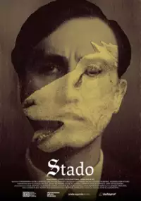 Plakat filmu Stado