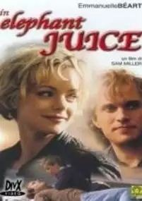 Plakat filmu Sposób na miłość