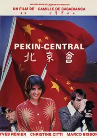 Plakat filmu P&eacute;kin Central