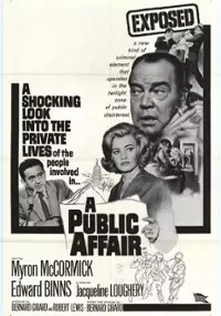 Plakat filmu A Public Affair