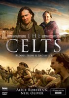 plakat filmu Celtowie: krew, żelazo i ofiary