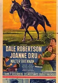 Plakat filmu Powrót do Teksasu