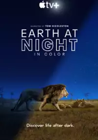 Plakat serialu Ziemia w nocnych barwach