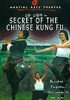 plakat filmu Wu xing ba quan