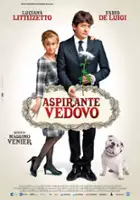 plakat filmu Aspirante vedovo