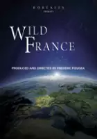 Mathieu Giombini / Dzika Francja