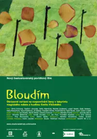 Plakat filmu Bloudím