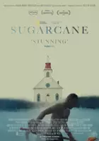 Maya Hawke / Sugarcane