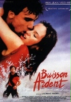 plakat filmu Buisson ardent