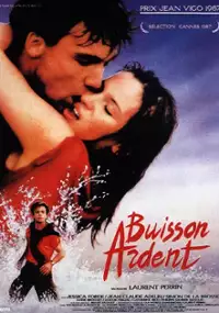Plakat filmu Buisson ardent