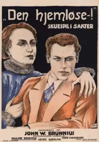 Plakat filmu En Vildfågel
