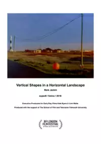 Plakat filmu Vertical Shapes In a Horizontal Landscape
