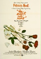 plakat filmu Róże w tytule