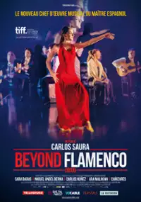 Plakat filmu Jota Carlosa Saury