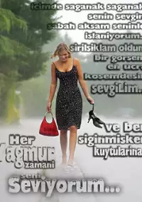 Plakat serialu Yağmur zamanı