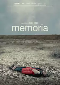 Plakat filmu Pamięć