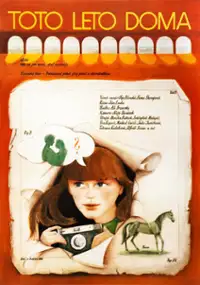 Plakat filmu Toto leto doma
