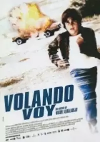 Plakat filmu Wyjść na prostą