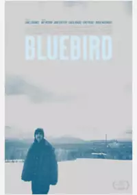 Plakat filmu Zimowy ptaszek