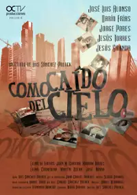 Plakat filmu Como caído del cielo