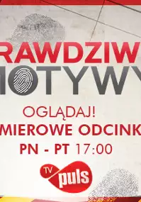 Plakat serialu Prawdziwe motywy