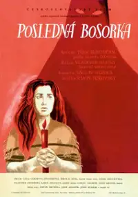 Plakat filmu Posledn&aacute; bosorka