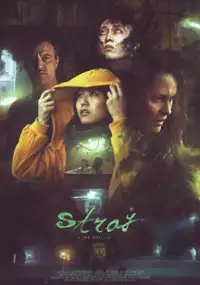 Plakat filmu Zbłąkany