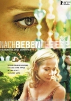 plakat filmu Nachbeben