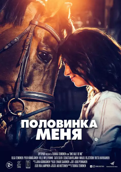 plakat filmu Aika jonka sain