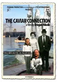 Plakat filmu Kavijar koneksn
