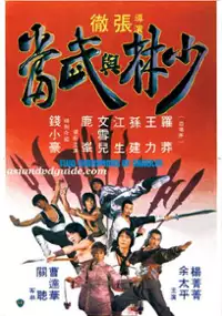 Plakat filmu Shaolin yu Wu Dang