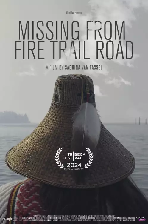 plakat filmu Zaginiona