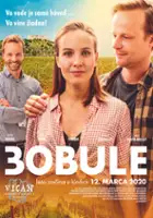 Marian Roden / 3Bobule